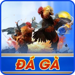 Đá gà